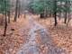 100 Acres in Nys Prime Whitetail Hunting