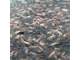 1000 Acre Block Irrigated Row Crop Land in the Mississippi Delta