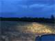 1000 Acres Open Land Hunt Deer Coyote Bear Coywolf Small Game