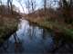 Hunting Land for Sale with Trout Stream in Southwest Wisconsin Photo 4