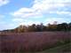 133.76 Acres Near 1000 Acre Lake