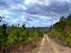 14.5 Acres in Ruby Sc.Great for Farming