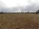 145 Acres Income Producing Farmland. Ponds Public Water Electric.$3500Ac