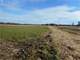 Grand Buildable Parcel with Hunting Opportunities in Washington County Photo 2