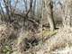Grand Buildable Parcel with Hunting Opportunities in Washington County Photo 8