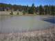 156 Acres Pond Trees Secluded Backs 40K Acres Timber CO