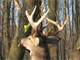 160 Acre Hunters Paradise Qdm Trophy Bucks and More NE Wisconsin