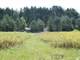 Gorgeous Acres in Northern Midland County with a Rustic Cabin Photo 14