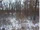 Hunting Land for Sale in Pardeeville WI Photo 11