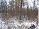Hunting Land for Sale in Pardeeville WI Photo 16