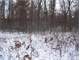 Hunting Land for Sale in Pardeeville WI Photo 5