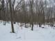 Acres Hunting Tillable Land Columbia Cty Photo 15