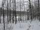 Hunting Land for Sale in Rosholt Marathon County Wisconsin Photo 10