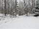 Hunting Land for Sale in Rosholt Marathon County Wisconsin Photo 11