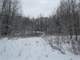 Hunting Land for Sale in Rosholt Marathon County Wisconsin Photo 15