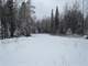 Hunting Land for Sale in Rosholt Marathon County Wisconsin Photo 17
