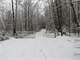 Hunting Land for Sale in Rosholt Marathon County Wisconsin Photo 1