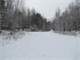 Hunting Land for Sale in Rosholt Marathon County Wisconsin Photo 4