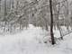 Hunting Land for Sale in Rosholt Marathon County Wisconsin Photo 5