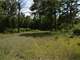 Buildable Acreage for Hunting Camp or Cabin in the Woods Photo 15