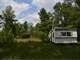 Buildable Acreage for Hunting Camp or Cabin in the Woods Photo 16
