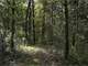 -355 Acres Hunting and Conservation Property ON Lemonweir River Photo 12