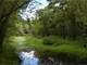 -355 Acres Hunting and Conservation Property ON Lemonweir River Photo 14