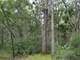 -355 Acres Hunting and Conservation Property ON Lemonweir River Photo 15
