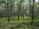 -355 Acres Hunting and Conservation Property ON Lemonweir River Photo 17
