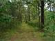 -355 Acres Hunting and Conservation Property ON Lemonweir River Photo 18