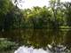-355 Acres Hunting and Conservation Property ON Lemonweir River Photo 19