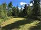Acre Parcel with Great Hunting in Price County Photo 13
