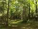 Acre Parcel with Great Hunting in Price County Photo 2