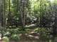 Acre Parcel with Great Hunting in Price County Photo 3