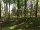 Acre Parcel with Great Hunting in Price County Photo 4
