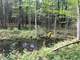 Acre Parcel with Great Hunting in Price County Photo 5
