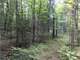Acre Parcel with Great Hunting in Price County Photo 6
