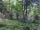 Acre Parcel with Great Hunting in Price County Photo 7
