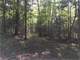 Acre Parcel with Great Hunting in Price County Photo 8
