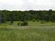 160 Acres Tillable and Hunting Land in Westfield WI Photo 4