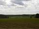160 Acres Tillable and Hunting Land in Westfield WI Photo 6