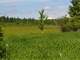 Marquette County 245 Acres Wooded and Tillable Photo 10