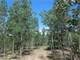 18.5 Acres Surrounded Government Land