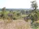 Quality Deer Management Property in Sauk Cty- Wisconsin Dells WI Photo 12