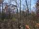 Acre Wooded Marquette County Parcel with Trophy Whitetails Photo 19