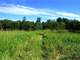 Prime Central Wisconsin Deer Turkey and Waterfowl Hunting Land in Marquett Photo 14