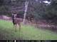 Hunting Property Located in Juneau County WI Photo 14