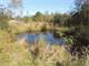 Hunting Property Located in Juneau County WI Photo 4