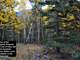 Colorado Elk Hunting - Mtn. Property with Cabin Pad-Camp Site Ready Photo 10