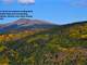 Colorado Elk Hunting - Mtn. Property with Cabin Pad-Camp Site Ready Photo 4